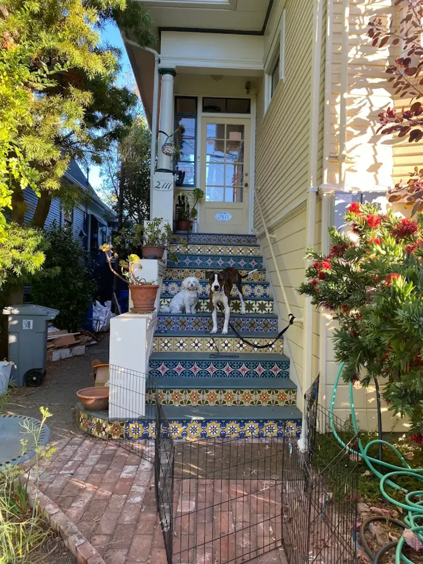 Two small dogs sitting on tiled steps of a house entrance